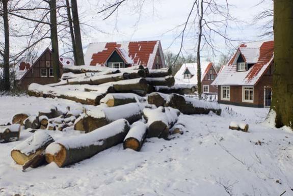 Sneeuw op het park | Ferienresort Bad Bentheim